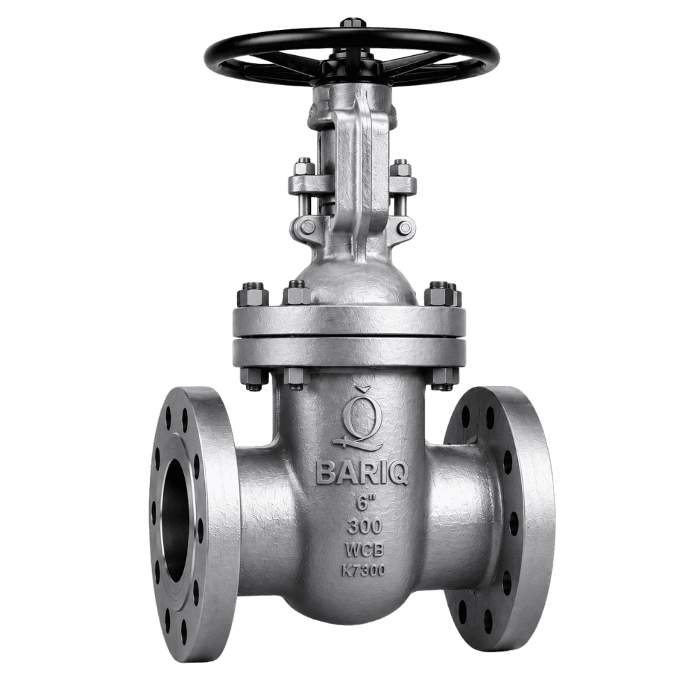 BARIQ Cast Steel Gate Valve